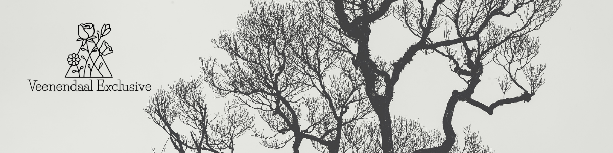 Veenendaal Exclusive